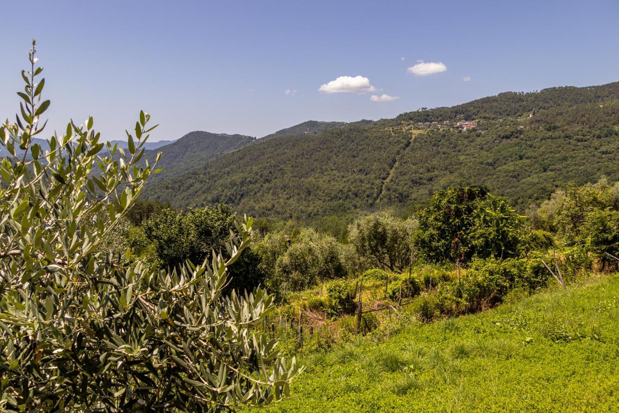 Emma'S House Villa Sasseta Dış mekan fotoğraf