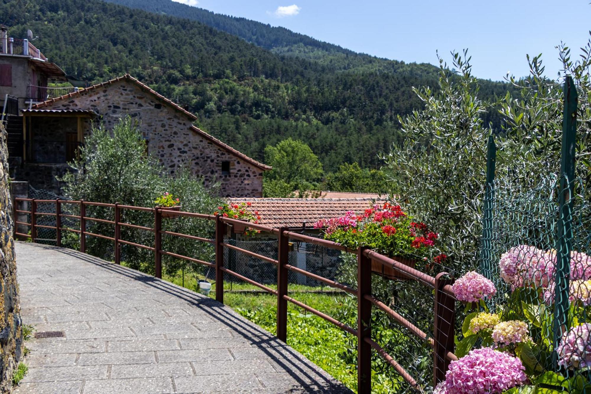 Emma'S House Villa Sasseta Dış mekan fotoğraf