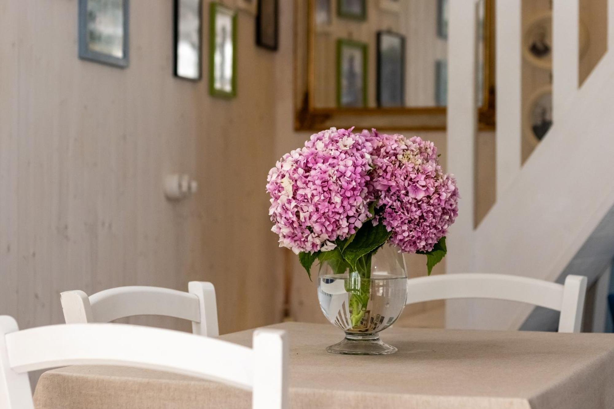Emma'S House Villa Sasseta Dış mekan fotoğraf